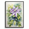 watercolour botanical print flowers clematis gravetye beauty front view