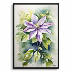 Clematis Gravetye Watercolour Botanical Art Print - Beauty Framed Plant Wall Art