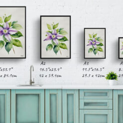 watercolour botanical print flowers clematis gravetye beauty minimalist print size comparison