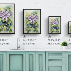 Clematis Gravetye Watercolour Botanical Art Print - Beauty Framed Plant Wall Art 9 watercolour botanical print flowers clematis gravetye beauty print size comparison