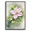 watercolour botanical print flowers clematis mayleen front view