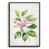 Clematis Mayleen Minimalist Watercolour Botanical Art Print - Montana Framed Plant Wall Art 1 watercolour botanical print flowers clematis mayleen minimalist front view