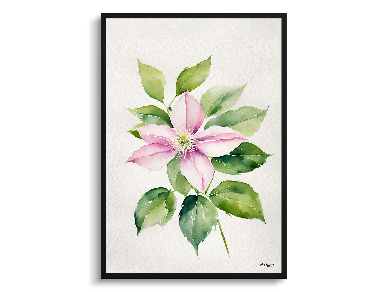 Clematis Mayleen Minimalist Watercolour Botanical Art Print - Montana Framed Plant Wall Art 3 Clematis Mayleen Minimalist Watercolour Botanical Art Print - Montana Framed Plant Wall Art