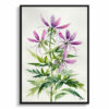 watercolour botanical print flowers cleome hassleriana violet queen minimalist front view