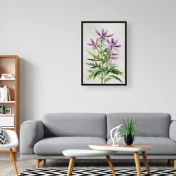 watercolour botanical print flowers cleome hassleriana violet queen minimalist office