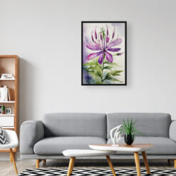 watercolour botanical print flowers cleome hassleriana violet queen office