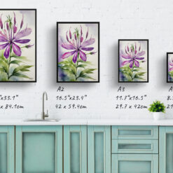 watercolour botanical print flowers cleome hassleriana violet queen print size comparison