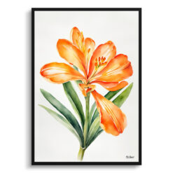 Clivia Minimalist Watercolour Botanical Art Print -  Natal bush lily Framed Plant Wall Art