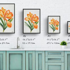 watercolour botanical print flowers clivia minimalist print size comparison