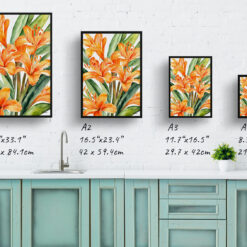 Clivia Watercolour Botanical Art Print - Natal bush lily Framed Plant Wall Art 9 watercolour botanical print flowers clivia print size comparison