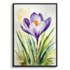 Crocus Watercolour Botanical Art Print - Meadow Saffron Framed Plant Wall Art 2 watercolour botanical print flowers crocus front view