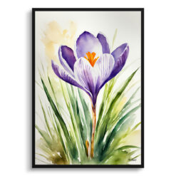 Crocus Watercolour Botanical Art Print - Meadow Saffron Framed Plant Wall Art