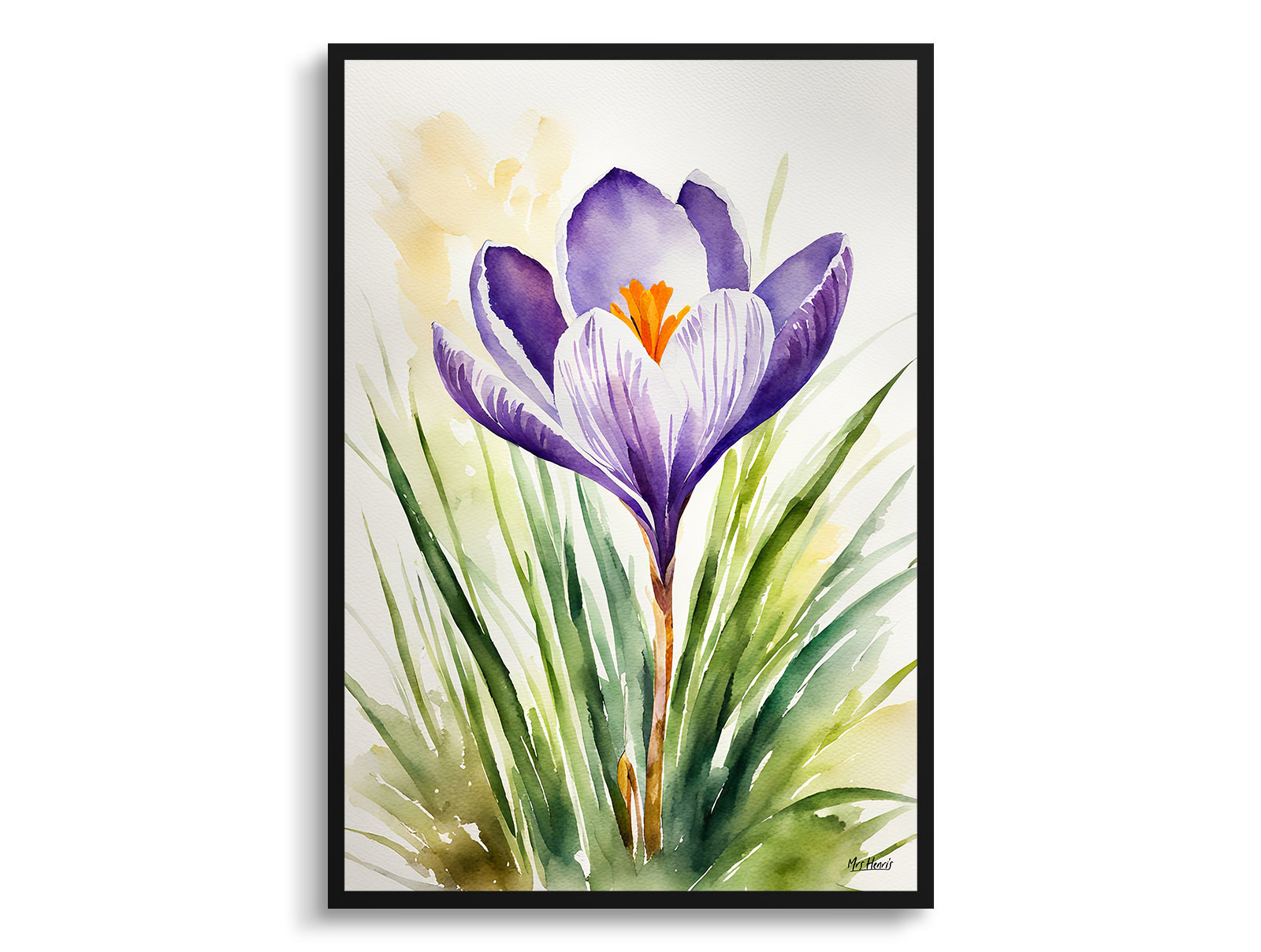 Crocus Watercolour Botanical Art Print - Meadow Saffron Framed Plant Wall Art 3 Crocus Watercolour Botanical Art Print - Meadow Saffron Framed Plant Wall Art