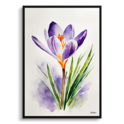 Crocus Minimalist Watercolour Botanical Art Print - Meadow Saffron Framed Plant Wall Art