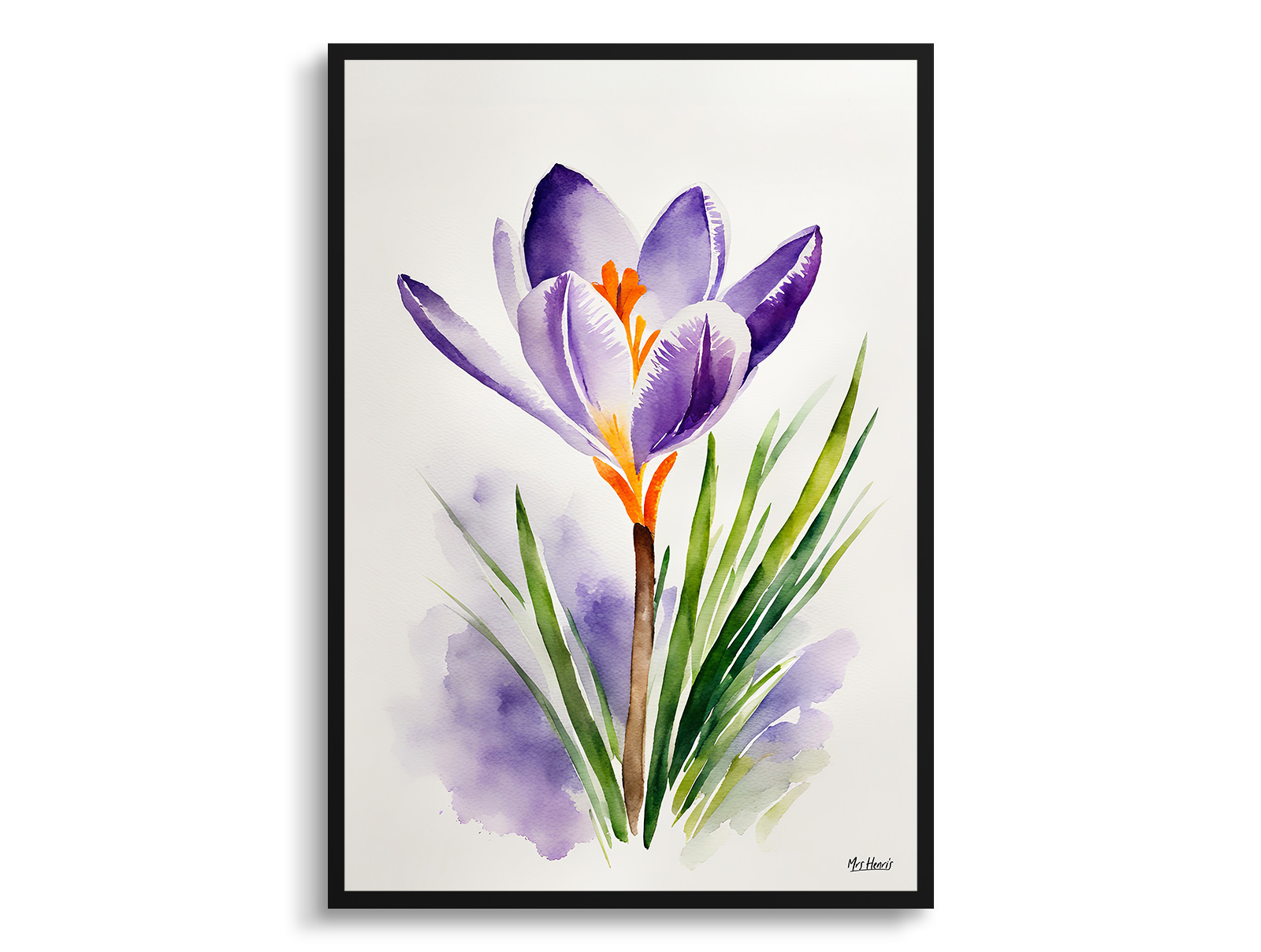 Crocus Minimalist Watercolour Botanical Art Print - Meadow Saffron Framed Plant Wall Art 3 Crocus Minimalist Watercolour Botanical Art Print - Meadow Saffron Framed Plant Wall Art