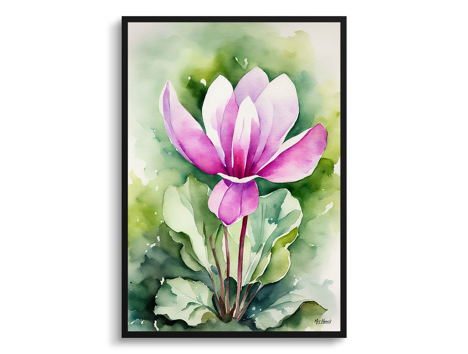 Cyclamen Coum Watercolour Botanical Art Print - Persian Violet Framed Plant Wall Art 3 Cyclamen Coum Watercolour Botanical Art Print - Persian Violet Framed Plant Wall Art