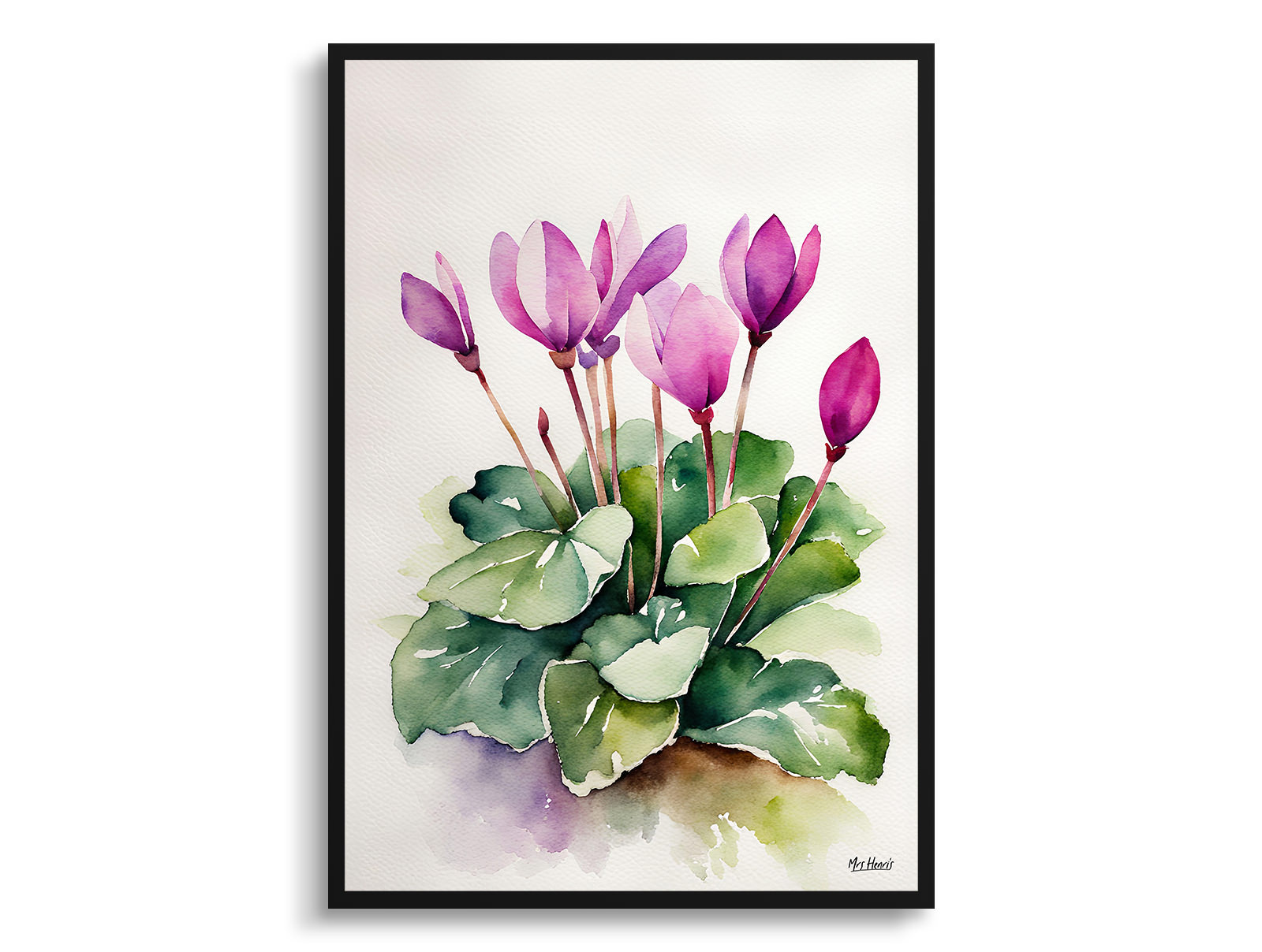 Cyclamen Coum Minimalist Watercolour Botanical Art Print - Persian Violet Framed Plant Wall Art 3 Cyclamen Coum Minimalist Watercolour Botanical Art Print - Persian Violet Framed Plant Wall Art