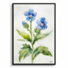 watercolour botanical print flowers cynoglossum amabile minimalist front view