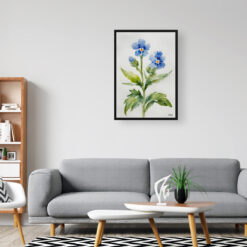 Cynoglossum Amabile Minimalist Watercolour Botanical Art Print - Chinese Forget-me-not Framed Plant Wall Art 8 watercolour botanical print flowers cynoglossum amabile minimalist office