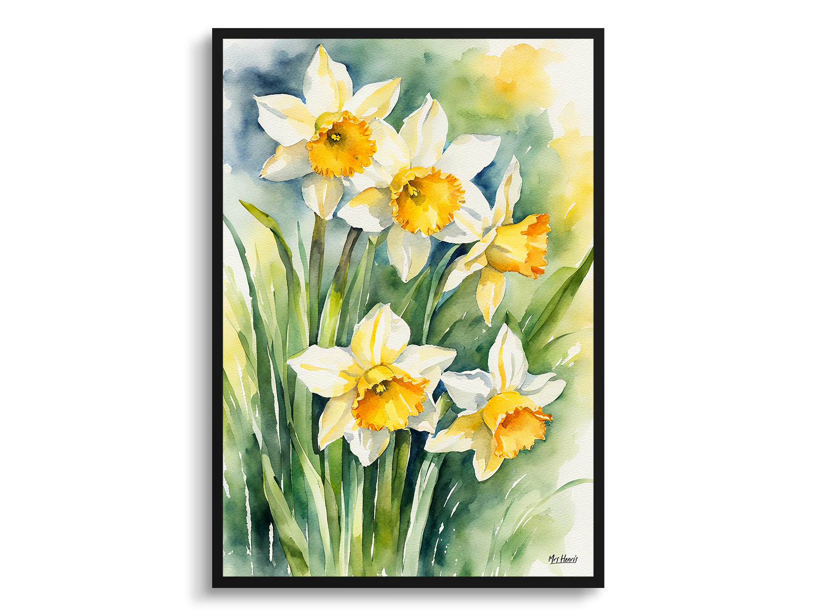 Daffodil Watercolour Botanical Art Print - Narcissus Jonquil Framed Plant Wall Art 3 Daffodil Watercolour Botanical Art Print - Narcissus Jonquil Framed Plant Wall Art