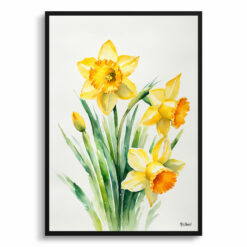 Daffodil Minimalist Watercolour Botanical Art Print - Narcissus Jonquil Framed Plant Wall Art