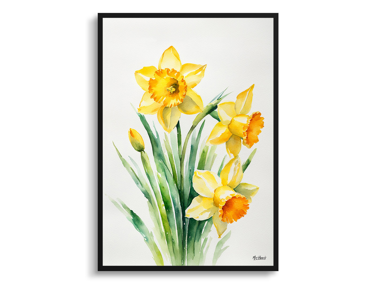 Daffodil Minimalist Watercolour Botanical Art Print - Narcissus Jonquil Framed Plant Wall Art 3 Daffodil Minimalist Watercolour Botanical Art Print - Narcissus Jonquil Framed Plant Wall Art