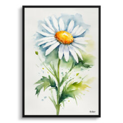Daisy Minimalist Watercolour Botanical Art Print - Oxeye Marguerite Framed Plant Wall Art