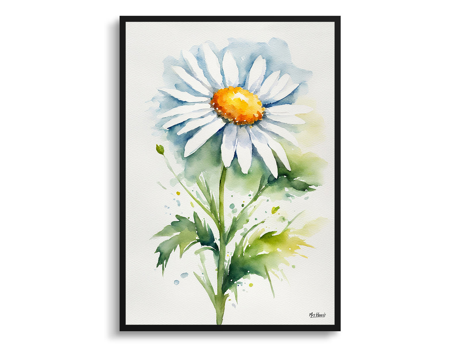 Daisy Minimalist Watercolour Botanical Art Print - Oxeye Marguerite Framed Plant Wall Art 3 Daisy Minimalist Watercolour Botanical Art Print - Oxeye Marguerite Framed Plant Wall Art