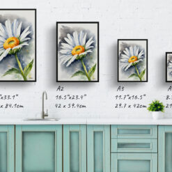 watercolour botanical print flowers daisy print size comparison