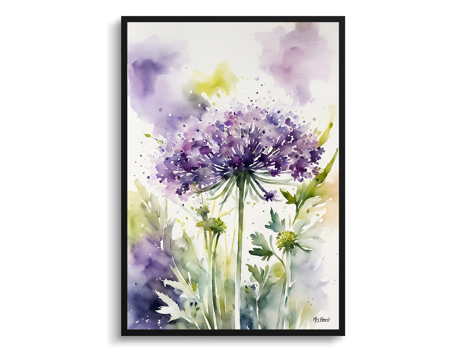 Daucus Carota Purple Haze Watercolour Botanical Art Print - Cosmic Carrot Framed Plant Wall Art 3 Daucus Carota Purple Haze Watercolour Botanical Art Print - Cosmic Carrot Framed Plant Wall Art