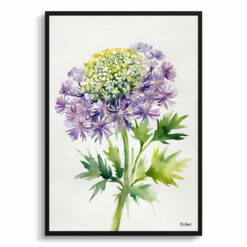 Daucus Carota Purple Haze Minimalist Watercolour Botanical Art Print - Cosmic Carrot Framed Plant Wall Art