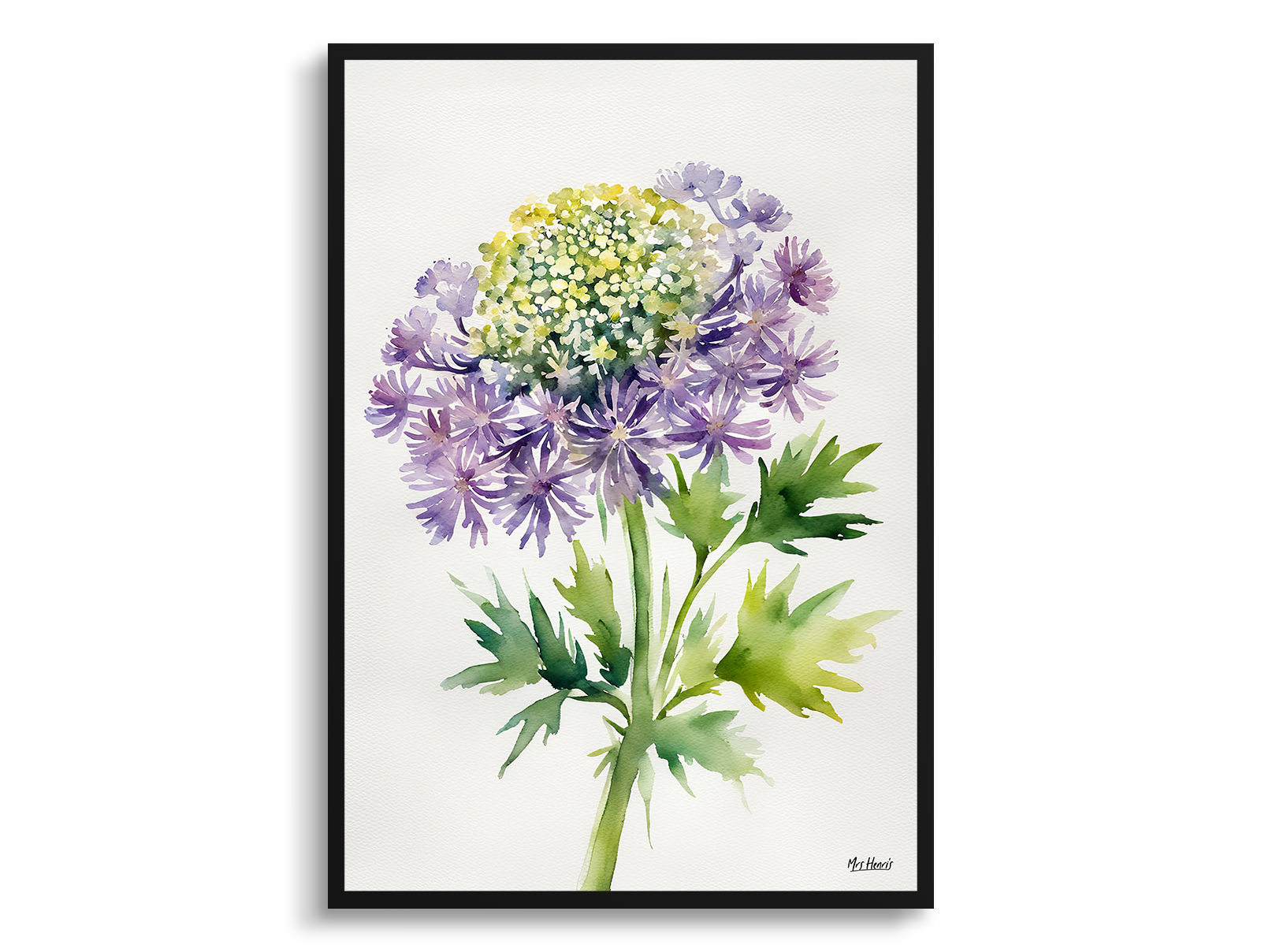 Daucus Carota Purple Haze Minimalist Watercolour Botanical Art Print - Cosmic Carrot Framed Plant Wall Art 3 Daucus Carota Purple Haze Minimalist Watercolour Botanical Art Print - Cosmic Carrot Framed Plant Wall Art