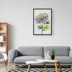 Daucus Carota Purple Haze Minimalist Watercolour Botanical Art Print - Cosmic Carrot Framed Plant Wall Art 8 Daucus Carota Purple Haze Minimalist Watercolour Botanical Art Print - Cosmic Carrot Framed Plant Wall Art - Image 3