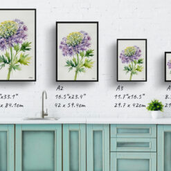 Daucus Carota Purple Haze Minimalist Watercolour Botanical Art Print - Cosmic Carrot Framed Plant Wall Art 9 Daucus Carota Purple Haze Minimalist Watercolour Botanical Art Print - Cosmic Carrot Framed Plant Wall Art - Image 4