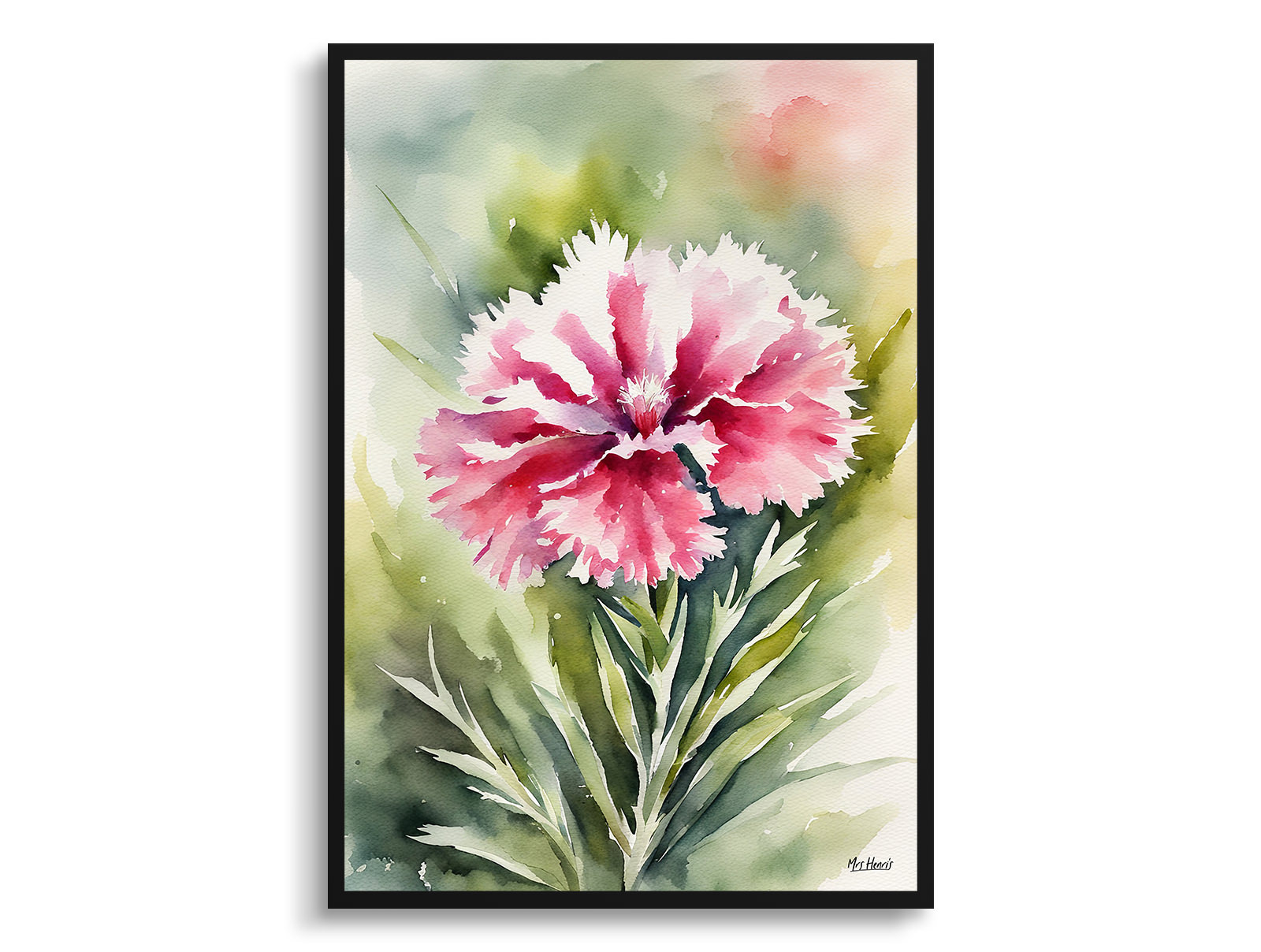 Dianthus Devon Wizard Watercolour Botanical Art Print - Pink Framed Plant Wall Art 3 Dianthus Devon Wizard Watercolour Botanical Art Print - Pink Framed Plant Wall Art