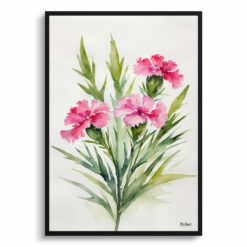 Dianthus Devon Wizard Minimalist Watercolour Botanical Art Print - Pink Framed Plant Wall Art