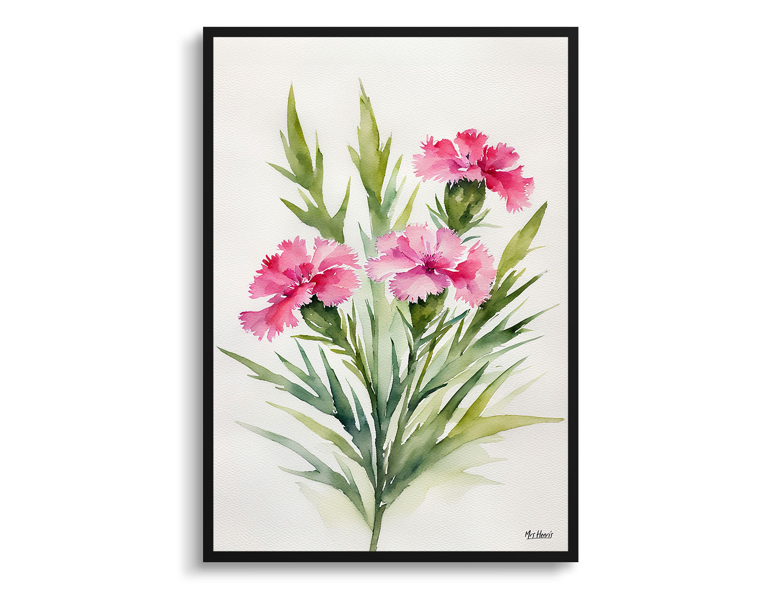 Dianthus Devon Wizard Minimalist Watercolour Botanical Art Print - Pink Framed Plant Wall Art 3 Dianthus Devon Wizard Minimalist Watercolour Botanical Art Print - Pink Framed Plant Wall Art