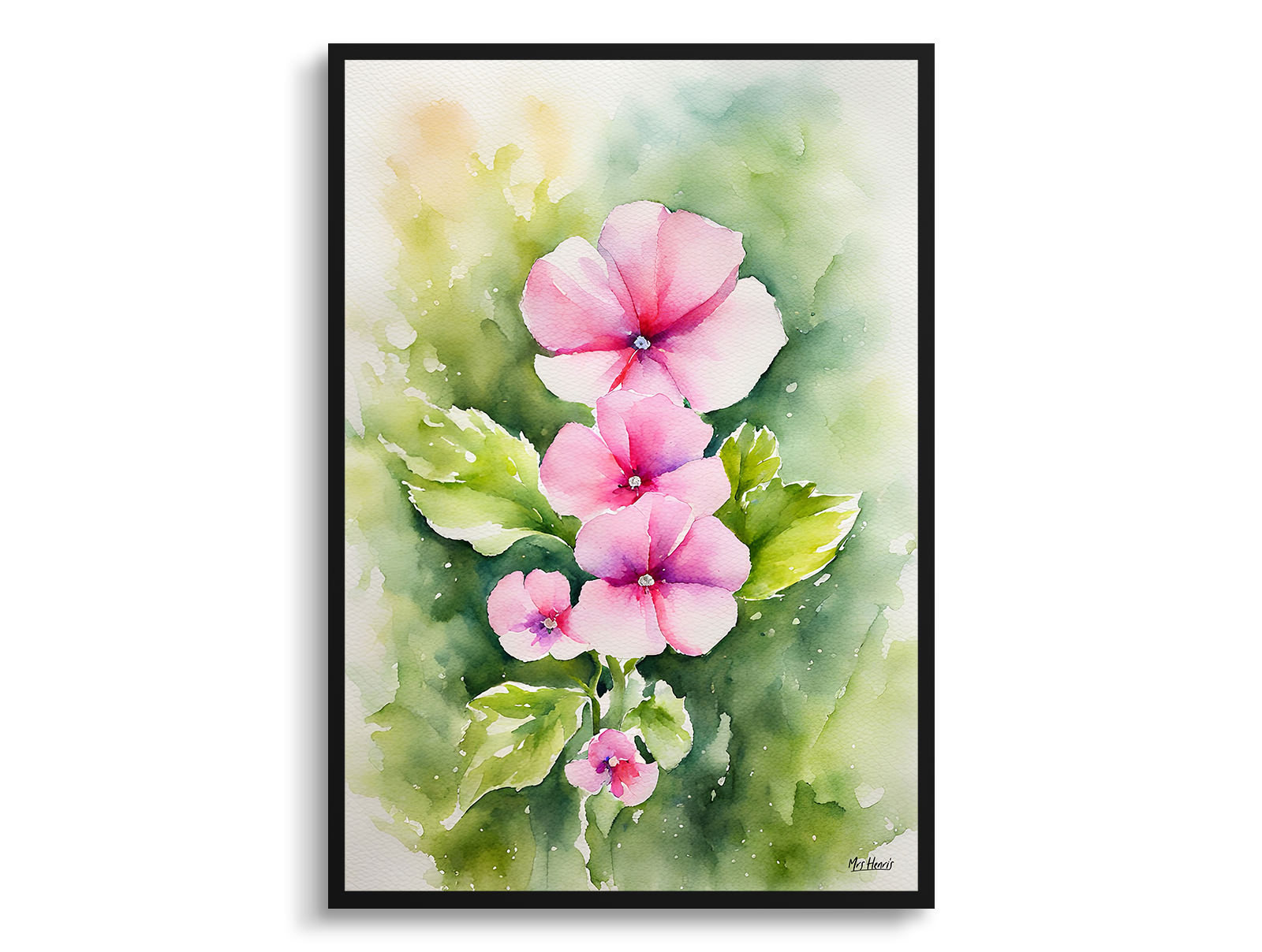 Diascia Personata Watercolour Botanical Art Print - Twinspur Framed Plant Wall Art 3 Diascia Personata Watercolour Botanical Art Print - Twinspur Framed Plant Wall Art
