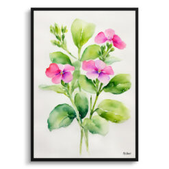 Diascia Personata Minimalist Watercolour Botanical Art Print -  Twinspur Framed Plant Wall Art