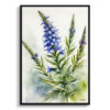 Echium Vulgare Watercolour Botanical Art Print - Viper's bugloss Framed Plant Wall Art 2 watercolour botanical print flowers echium vulgare front view