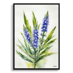 Echium Vulgare Minimalist Watercolour Botanical Art Print -  Viper's bugloss Framed Plant Wall Art