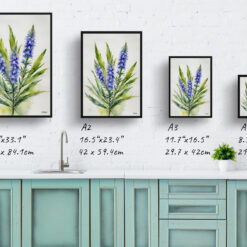watercolour botanical print flowers echium vulgare minimalist print size comparison