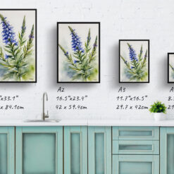 watercolour botanical print flowers echium vulgare print size comparison