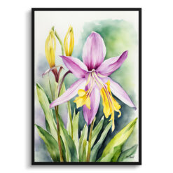 Erythronium Pagoda Watercolour Botanical Art Print - Dogtooth Violet Framed Plant Wall Art