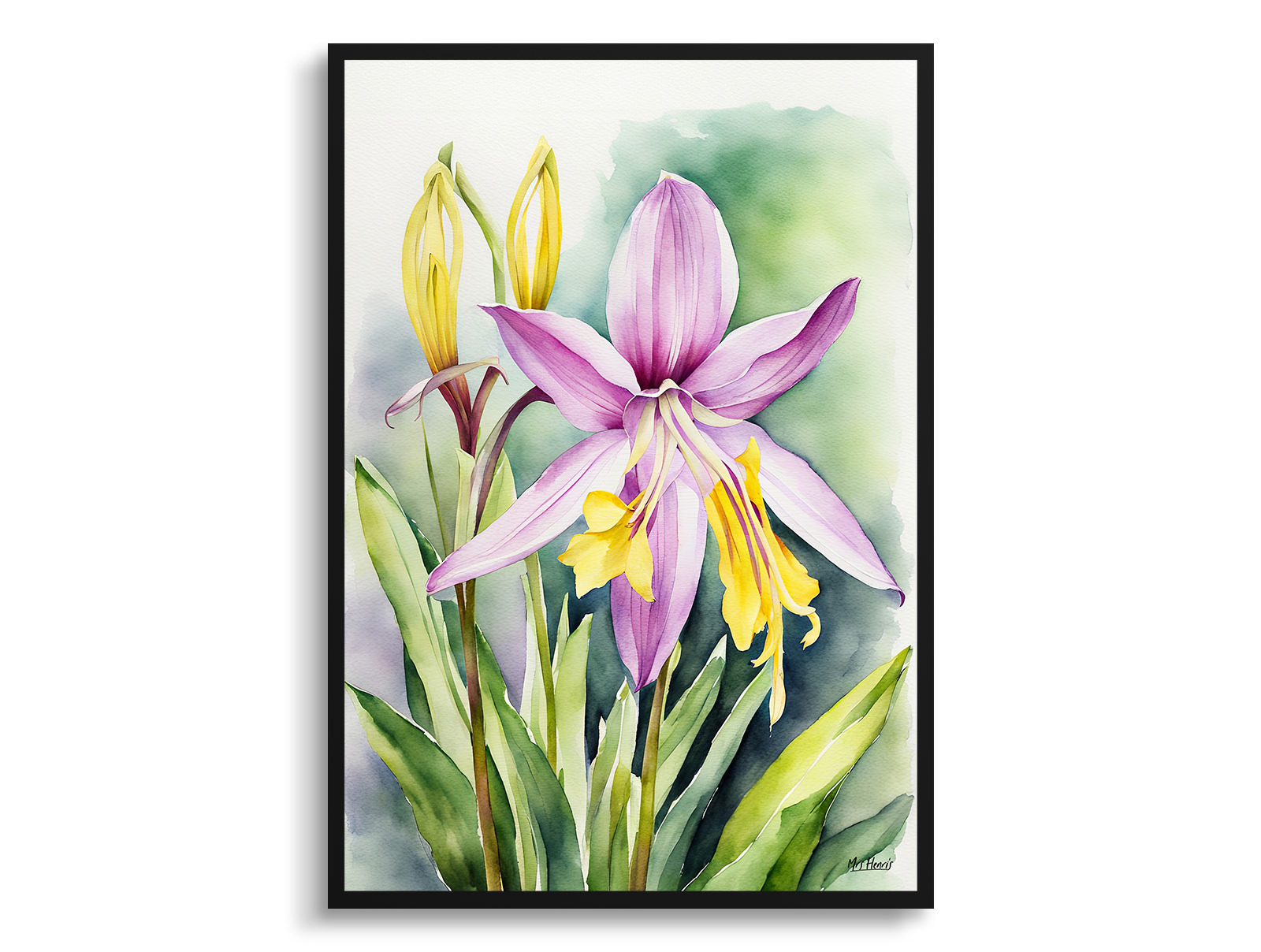 Erythronium Pagoda Watercolour Botanical Art Print - Dogtooth Violet Framed Plant Wall Art 3 Erythronium Pagoda Watercolour Botanical Art Print - Dogtooth Violet Framed Plant Wall Art