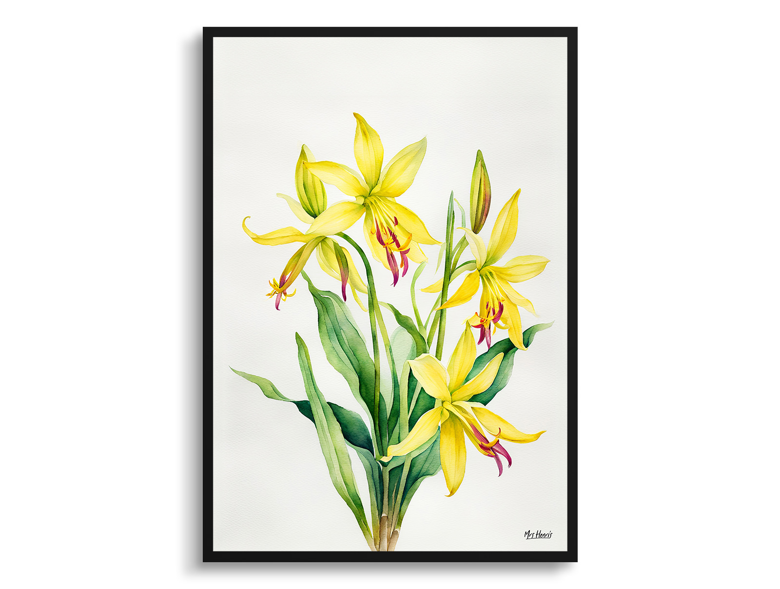 Erythronium Pagoda Minimalist Watercolour Botanical Art Print - Dogtooth Violet Framed Plant Wall Art 3 Erythronium Pagoda Minimalist Watercolour Botanical Art Print - Dogtooth Violet Framed Plant Wall Art