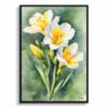 Freesia Watercolour Botanical Art Print - Cape-cowslip Framed Plant Wall Art 2 watercolour botanical print flowers freesia front view