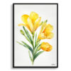 watercolour botanical print flowers freesia minimalist front view