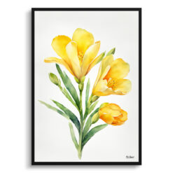 Freesia Minimalist Watercolour Botanical Art Print - Cape-cowslip Framed Plant Wall Art