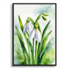 watercolour botanical print flowers galanthus elwesii front view